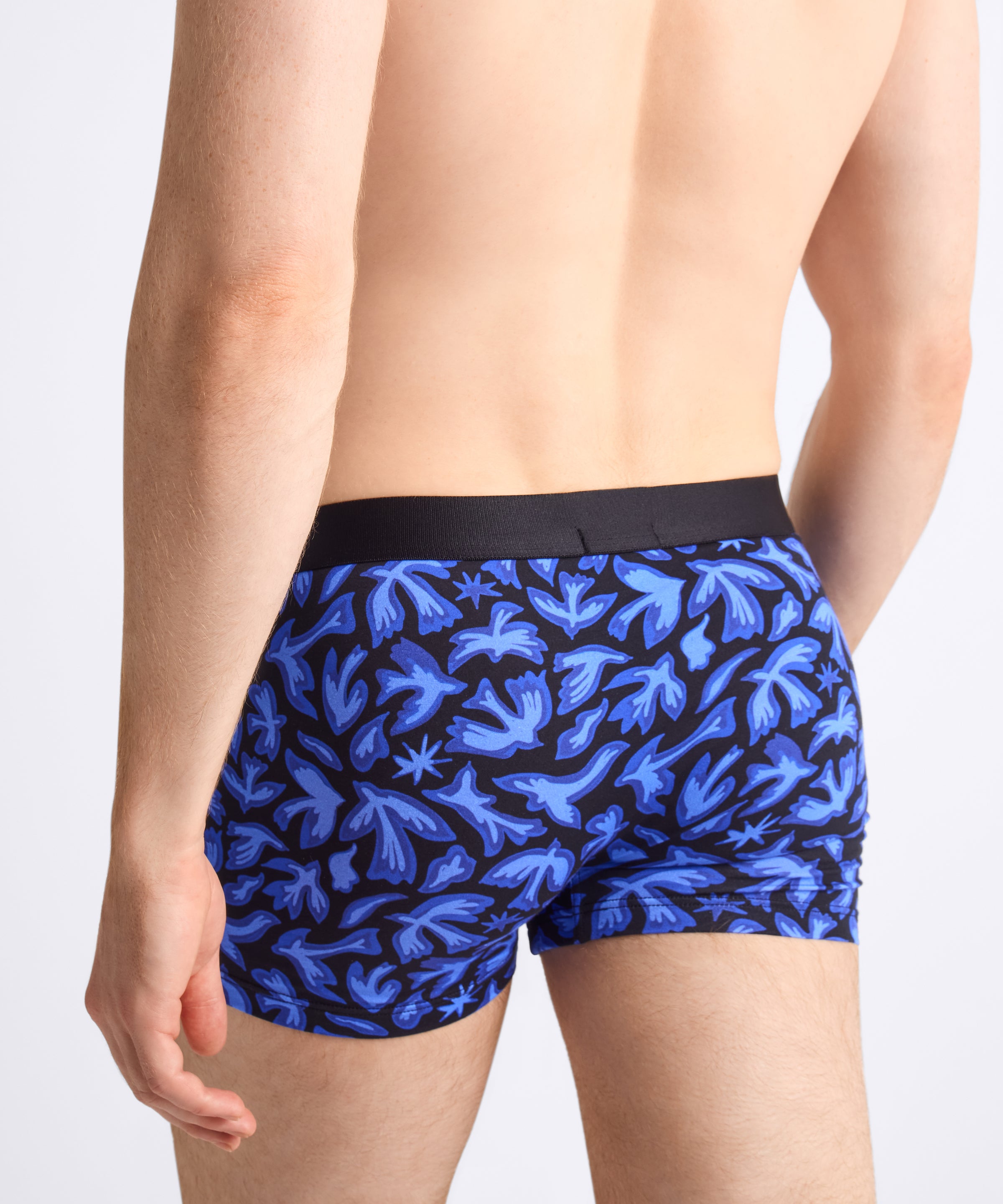 Aubade Homme Pack 2 boxers Birds